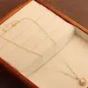 Colar de Flor de Concha para Mulheres Design Simples de Nicho Corrente para Clavícula Colar de Alta Qualidade para Mulheres
