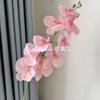 Flor Artificial 9 Phalaenopsis Flor Falsa Flor de Seda Decoração de Casamento Enfeites de Flores Casa Sala de Estar Mesa de Jantar Flor