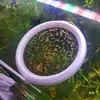 Alimentador para Peceras, Anillo Alimentador, Alimentador de Punto Fijo, Anillo Flotante Adaptable al Nivel del Agua, Alimenta el Comida de Peces para Evitar que se Desplace