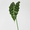 Venta al por mayor de fábrica Guanyin hoja de loto simulación hoja planta material de pared hoja decoración floral hoja de taro super realista