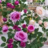 Vid de Rosa Belleza Fría Simulada Enredadera de Flores Artificiales Densa Colgante de Pared Enredadera de Flores Cubierta Decorativa para Aire Acondicionado Flores Plantas Verdes