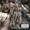 Atacado Casca de Pinus Pedra Aquário Paisagismo Ornamentos Naturais Micro Paisagem Rochoso Múltiplas Camadas Pele de Tigre Osso de Dragão Pedra Porosa Aquário