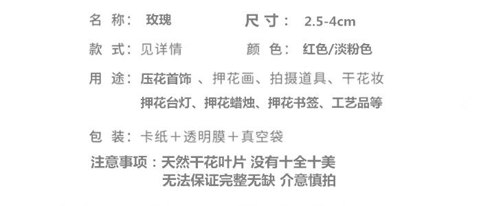 玫瑰.png