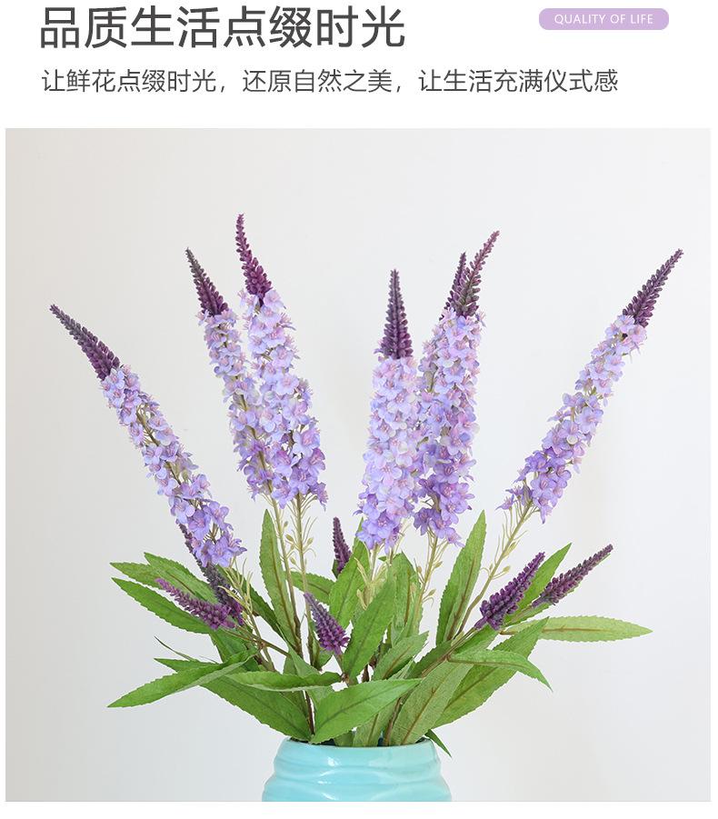 梵思单枝薰衣草_03.jpg