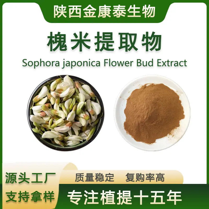 槐米提取物