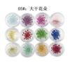 Joyería para uñas traje de flor seca grande 12 colores decoración flor tridimensional uñas pegatinas de plantas doce rejillas flores reales