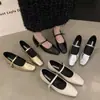 Sapatos Mary Jane com Salto Grosso, Sapatos de Vovó, Novos Sapatos Versáteis Estilo Francês para Primavera e Outono de 2025 com Bico Quadrado para Combinar com Saias, Sapatos Femininos
