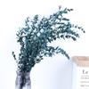 Eucalipto Inmortal Hojas Finas 120g Nórdico Simple Eucalipto Hojas Puntiagudas Mori Hogar Arreglo Floral
