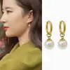 Pendientes de Acero de Titanio con Perla para Mujer, Lujo Ligero, Diseño de Nicho Francés de Gama Alta, Elegantes y Sencillos, Versátiles para el Trabajo