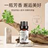 Óleo Essencial de Tomilho Puro 10ml Comércio Transfronteiriço Fragrância de Carro à Base de Plantas Amostra