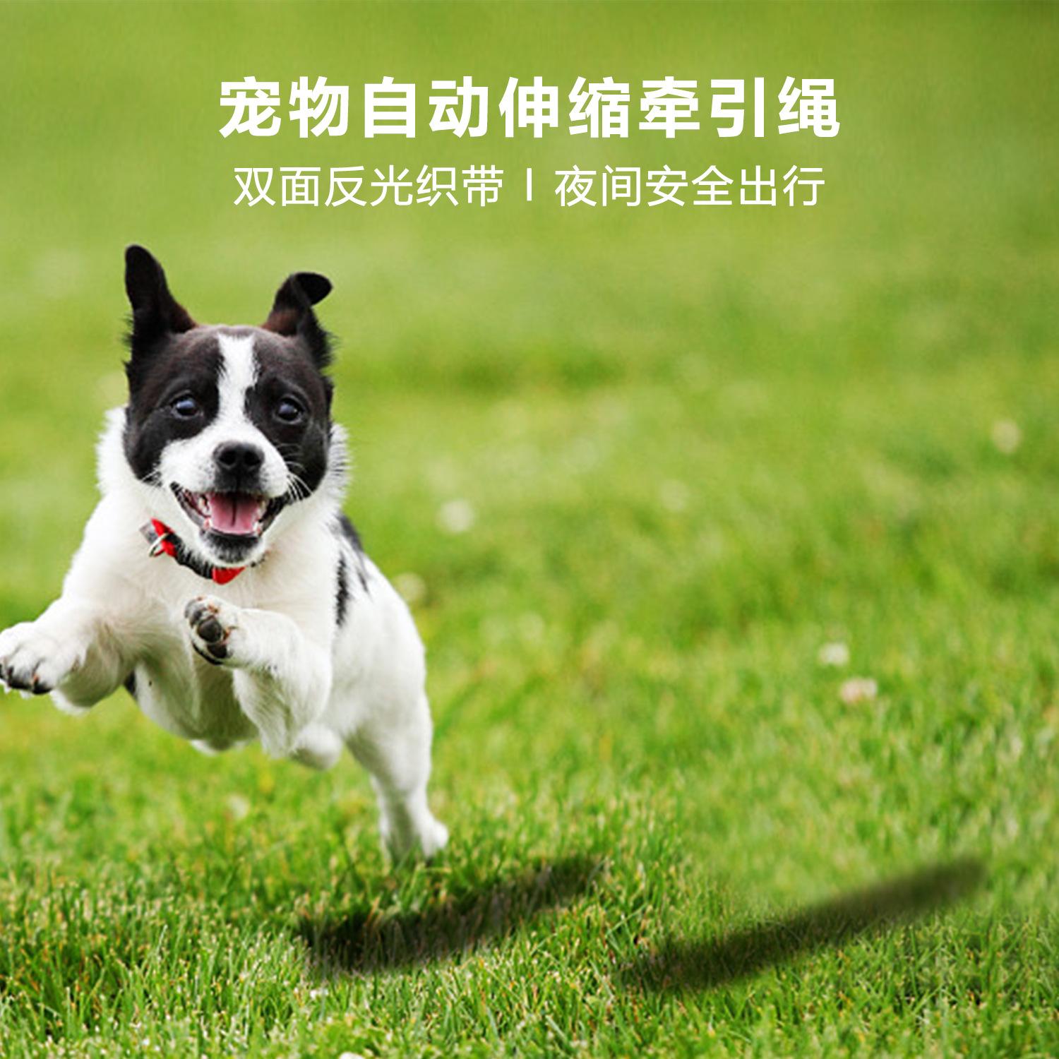 外购牵绳_01