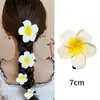 Presilhas de Cabelo Série Oceano com Flores Preservadas, Estrelas-do-Mar, Conchas e Frutas para Viagens à Beira-Mar e Fotos de Férias