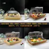 Cesta de pan estilo ratán, cesta de degustación de pasteles, cesta de exhibición de frutas para supermercado, cesta de almacenamiento tejida, exhibidor de bocadillos con tapa