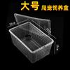 Caja grande para alimentación de mascotas con orificio de ventilación, caja para rastreros vivos, caja para araña, escorpión, rana cornuda de palacio, tortuga