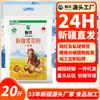 Harina Chuangxing Xinjiang Qitai 10kg Harina Copo Directo del Fabricante Harina de Trigo Alta en Gluten para Panes y Empanadas