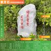 Altavoces de césped para exteriores, impermeables, para parques, jardines, césped, piedra, simulación de animales, rocalla, jardín.