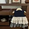 Vestido de verão novo para bebê da Sweet Little Sister 2026, vestido de botão bordado para meninas, vestido regata estiloso para bebê menina, moderno