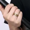 Anillo giratorio antiestrés para hombre, no se decolora, de acero de titanio y acero inoxidable, accesorio de cerveza de alta gama moderno y personalizado