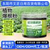 Polvo Estimulante de Raíces para Plantas, Nutrición para Plantas Verdes, Agente Microbiano, Polvo Enraizante, Fertilizante para Flores