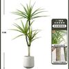 Planta Verde de Simulación Madera Milenaria Planta Falsa Lujo Ligero de Gama Alta Decoración de Interiores Árbol Sala de Estar Grande en Maceta Adornos de Piso