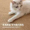 Tapete de chão resistente a arranhões de gato e cama de gato em um só, tamanho grande, adequado para todas as estações, durável, não solta pelos, protege o sofá