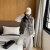 Colete feminino de algodão reversível, nova coleção outono/inverno 2026, estilo coreano, caimento solto, gola alta, sem mangas, jaqueta colete casual versátil