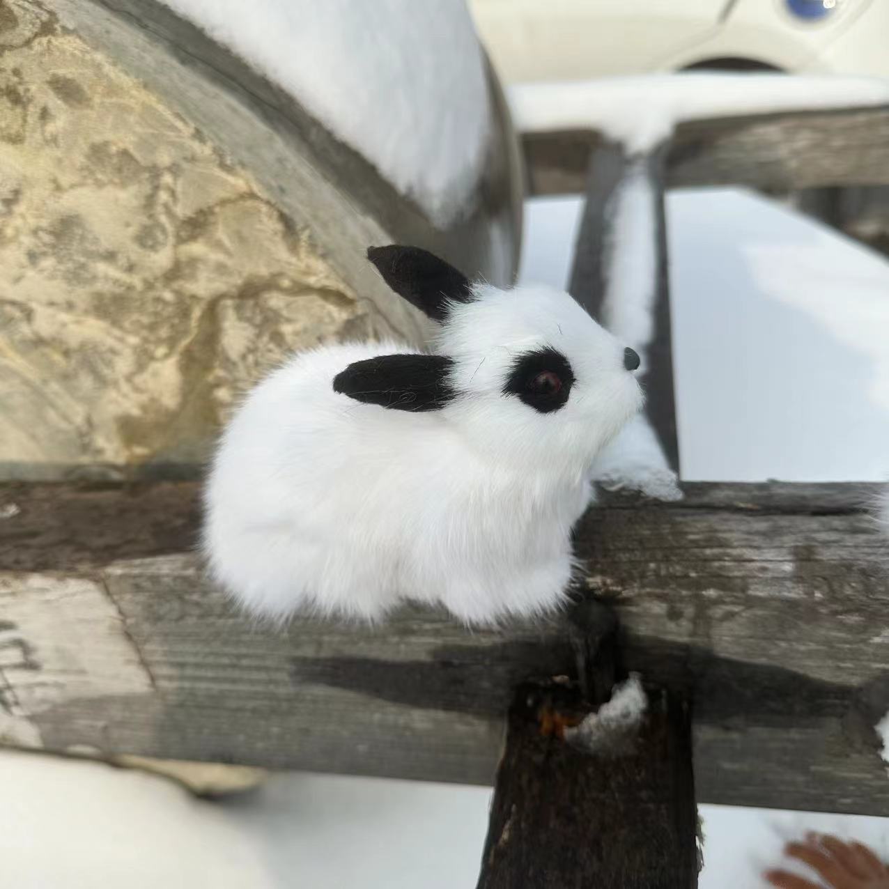 微信图片_202312121359164