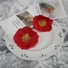 Cabezas de Amapola, Flores Artificiales, Accesorios para el Cabello DIY, Pasadores, Guirnaldas de Flores, Accesorios para Ropa, Flores Artificiales Falsas, Venta al por Mayor Transfronteriza