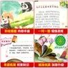 Cien Mil Porqués: Edición Pinyin Edición Primaria Enciclopedia Infantil China Set Completo para Grados 1, 2 y 3