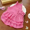 Nuevo Vestido de Princesa para Perro Mascota de Verano, Estilo Delgado, para Teddy, Bichón, Perros Pequeños, Vestido Dulce para Gato, Venta al por Mayor