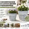 Suministro Mayorista Transfronterizo de Cubos de Hierro Galvanizado Estilo Vintage con Rayas Verticales y Estampado de Jardín para Jardinería y Flores Secas
