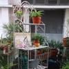 Estante de Flores de Hierro de Múltiples Niveles para Balcón Estante de Almacenamiento Europeo para Patio Estante Escalador Simple de Pie con Recortes