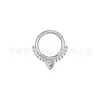 Anillo de nariz de acero inoxidable 316L Europa y Estados Unidos transfronterizo acero de titanio incrustado con diamante de color anillo sin costuras bobina incrustada con circonio de color joya para perforación de nariz