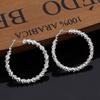 Pendientes circulares de oruga de moda transfronteriza para mujer, exagerados, con diseño de viento europeo y americano, chapados en cobre, de plata 925, al por mayor