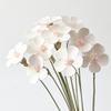 Materiales para Empaque de Ramo, Materiales para Florería, Accesorios Florales, Decoración para el Hogar, Flores Secas, Flores Artificiales, Pasto de Pluma Simulado, Flores Inmortales