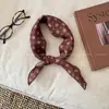 Bufanda Cuadrada Color Café Iris Estilo Coreano Estilo Perezoso para Mujer 2025 Nuevo Estilo de Verano Bufanda de Seda Accesorios de Cuello de Alta Gama