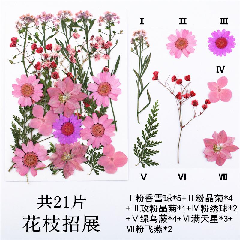 IMG_4131_副本_副本.jpg