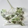Simulación de 5 hojas de taro de color para decoración de jardín, planta verde nórdica, para bodas, paisajismo interior, diseño de pared, venta al por mayor