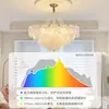 Araña de sala de estar estilo francés, luz principal para el pasillo, lámpara de cristal de lujo ligero de 6 piezas, de alta gama, lámpara de iluminación cálida y romántica para dormitorio, hierro y cobre