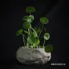 Vaso de Flor de Rocha Vulcânica de Hainan Grama Moeda Grama Moeda Vaso de Flor Hidropônico Pedra de Imitação Bonsai Suporte de Flor de Cerâmica Criativo Sem Furos