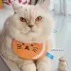 Auténtico Enlace Brillante Japonés Caja de Almacenamiento Transparente para Pelo de Gato Cápsula de Juguete Encanto Cápsula de Almacenamiento de Pelo de Gato