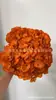 [Niebla Natural Hortensia] Flor Eterna Flor Seca Hortensia Anna Hortensia Lobular Material para Boda DIY Venta al por Mayor