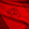 Bufanda Roja Grande para Hombres y Mujeres en Otoño e Invierno Año del Dragón del Zodíaco Chino Año Reunión Anual de la Empresa Roja China Logotipo Bufanda