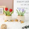 Planta Suculenta Tulipán de Venta Caliente Transfronteriza Maceta Pequeños Adornos para Escritorio de Oficina Regalos de Tejido de Lana para Maestros y Mejores Amigos