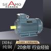 Motor assíncrono trifásico de ultra-alta eficiência YE5-2 polos de produção personalizada da Hebei Sima Electric com 3-355 kW