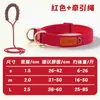 Collar para perro transfronterizo, collar ligero y transpirable para mascotas para perros grandes, medianos y pequeños, antiexplosión y a prueba de golpes para uso en exteriores, se puede usar con una correa