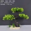 Decoração de Enfeite de Mesa Pinheiro Bem-vindo Pequeno Pinheiro Plantas Verdes Plantas Aquáticas Mini Rochedo Aquário Paisagismo Hotel