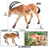 Simulación Realista Transfronteriza de Aves de Corral y Animales: Vacas, Caballos, Burros, Cabras, Ovejas, Cerdas, Búfalos, Ciervos Juguetes Cognitivos y Figuras