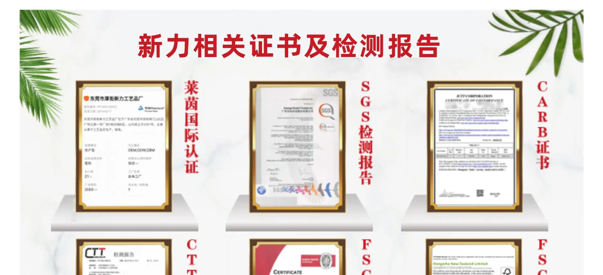 新力2