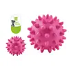 Pelota de Juguete para Perro, Pelota Meteoro, Pelota Espinosa para Dientes y Masticar, Juguete para Cachorro, Pelota Erizo de Mar, Juguete Interactivo de Entrenamiento TPR para Mascotas